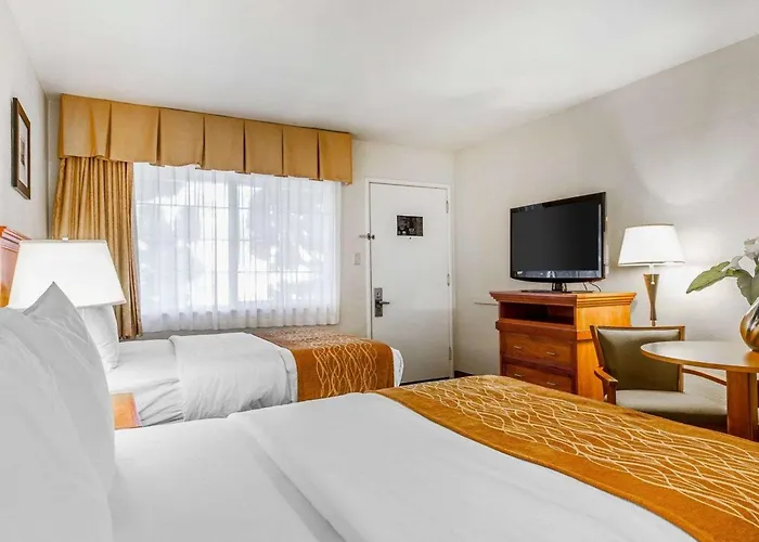 Inn At 1252